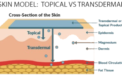 Transdermal Magnesium Benefits